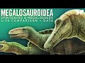 Spinosauridae and other megalosauroids  dinosaurs size comparison and data