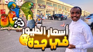 جوله على محلات الحيوانات.😍