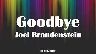 Joel Brandenstein - Goodbye Lyrics