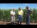 Part 5 Irrigating Corn with Salty Water