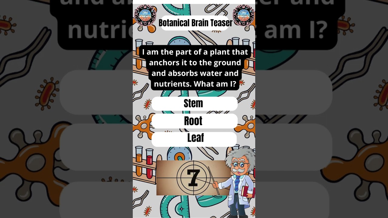 Solve These Mind-Bending Scientific Riddles! 