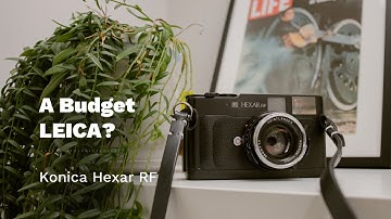 Budget LEICA M7? Konica Hexar RF Rangefinder Impressions