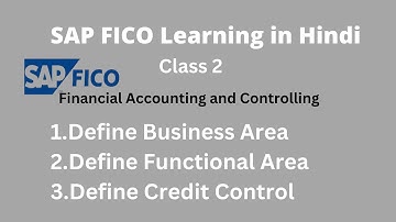 SAP FICO Class 2 in Hindi | Define Business Area | Define Functional Area | Define Credit Control