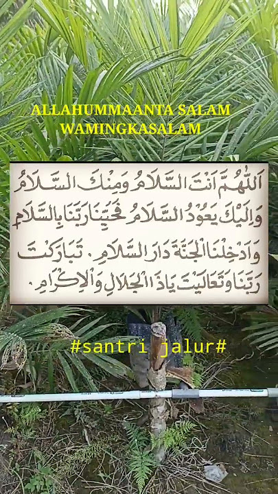 sholawat allahumma antaasalam adem.. #shorts