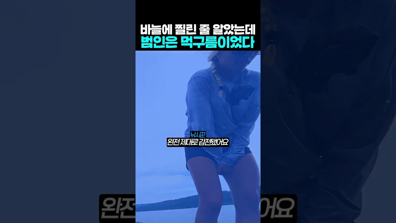 바늘에 찔린 줄 알았는데 범인은 먹구름이었다