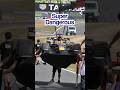 Verstappen’s anger over ‘super dangerous’ issue 🤬