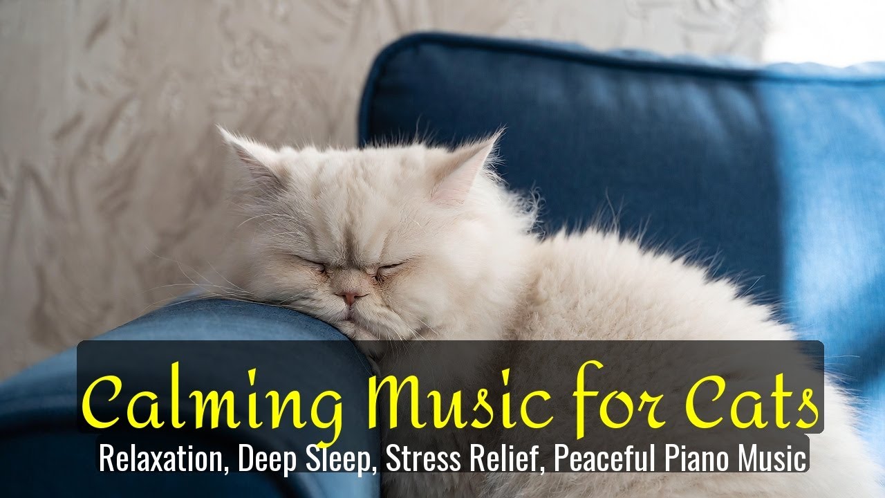 Calming Music for Cats - Relaxation, Deep Sleep, Stress Relief, Peaceful Piano Music | Season 65