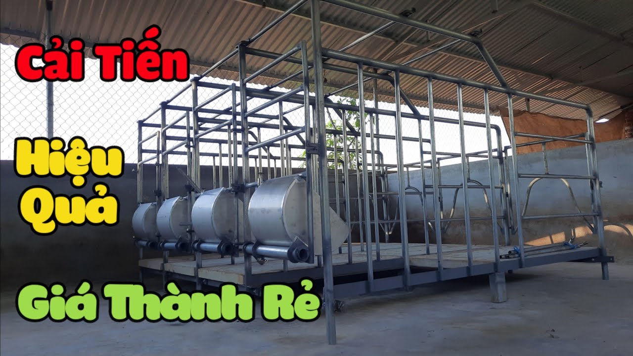 Cách Làm chuồng nuôi heo hiệu quả cho người ít vốn | khởi nghiệp TV