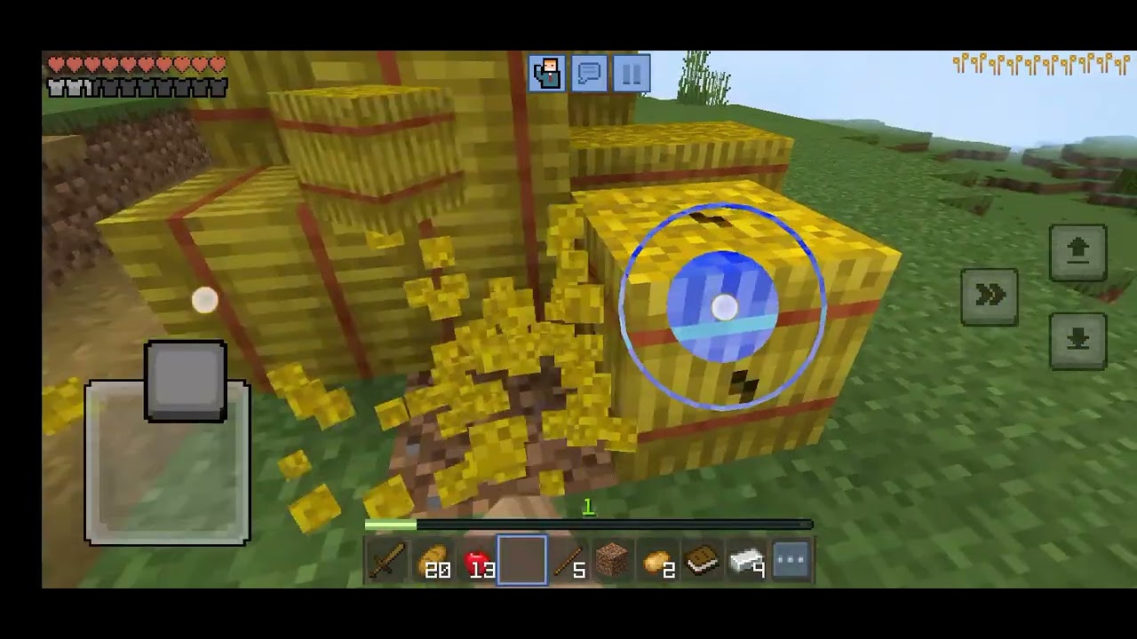 Zammil Playing Minecraft