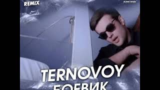 TERNOVOY - Боевик (Kolya Dark Remix)