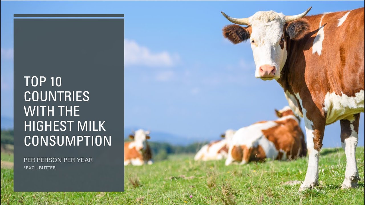 Countries with the highest milk consumption