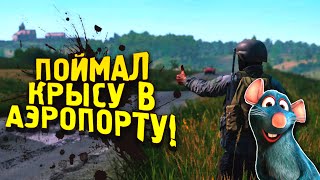 ПОЙМАЛ КРЫСУ В АЭРОПОРТУ! - DAYZ 2022 ПО НОВОМУ! - Вова Врывается #4