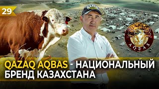 QAZAQ AQBAS - Национальный бренд Казахстана!