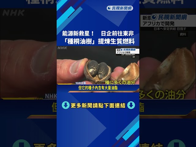 全球環保意識抬頭！ 日企種植桐油樹提煉「綠色黃金」－民視新聞