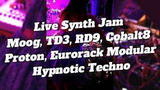 DAWless Hypnotic Live Techno Jam - Analog Moog, Proton, Modular, etc. π