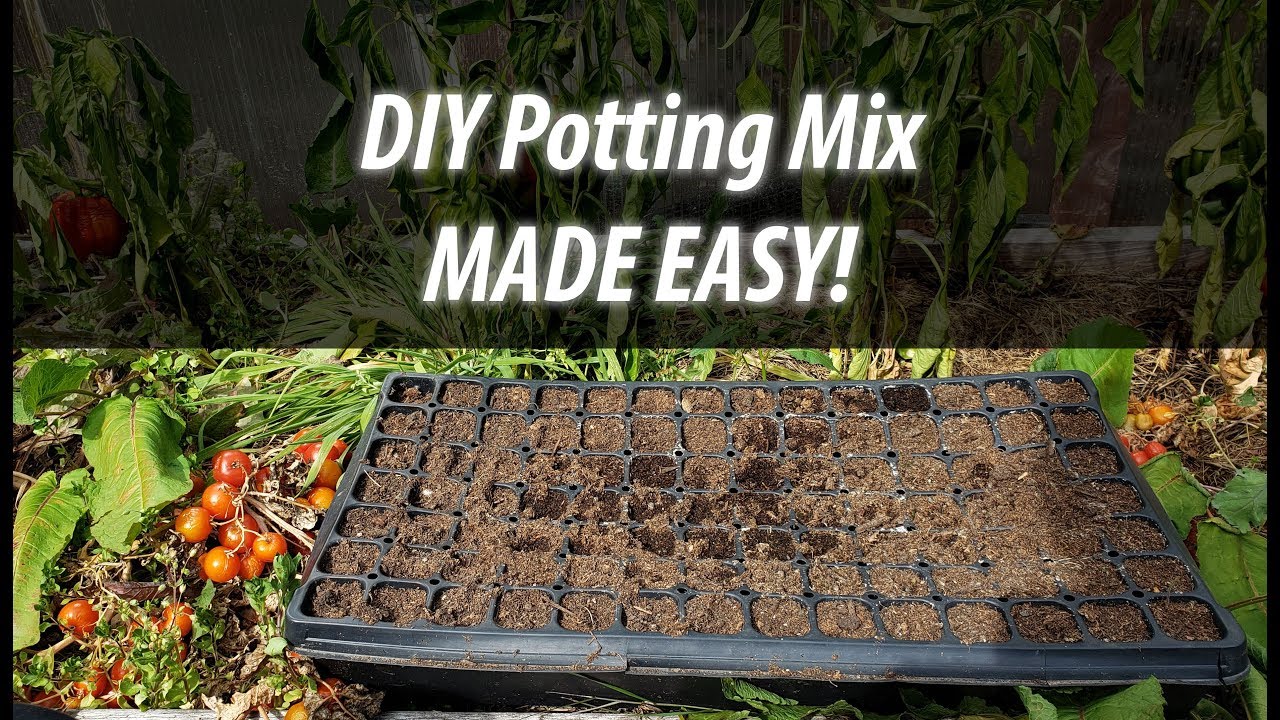 DIY Potting Mix For Fall Plugs and Plants YouTube DIY Potting Mix For Fall Plugs and Plants YouTube