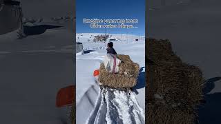 Emeğine Yanarmış Insan Şfet Öy