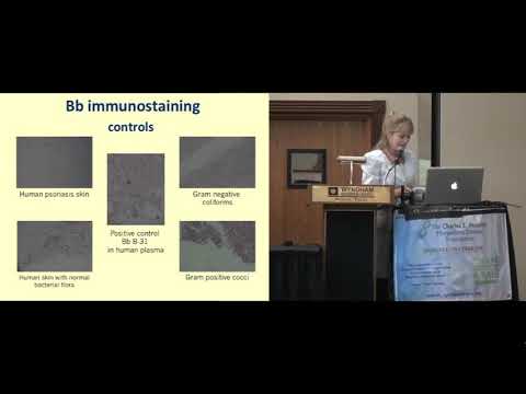 Morgellons Disease: What's Relevant, What Isn't? Marianne Middleveen, MDES