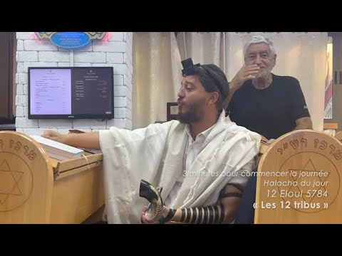 3MN DE TORAH POUR COMMENCER LA JOURNÉE - LES 12 TRIBUS