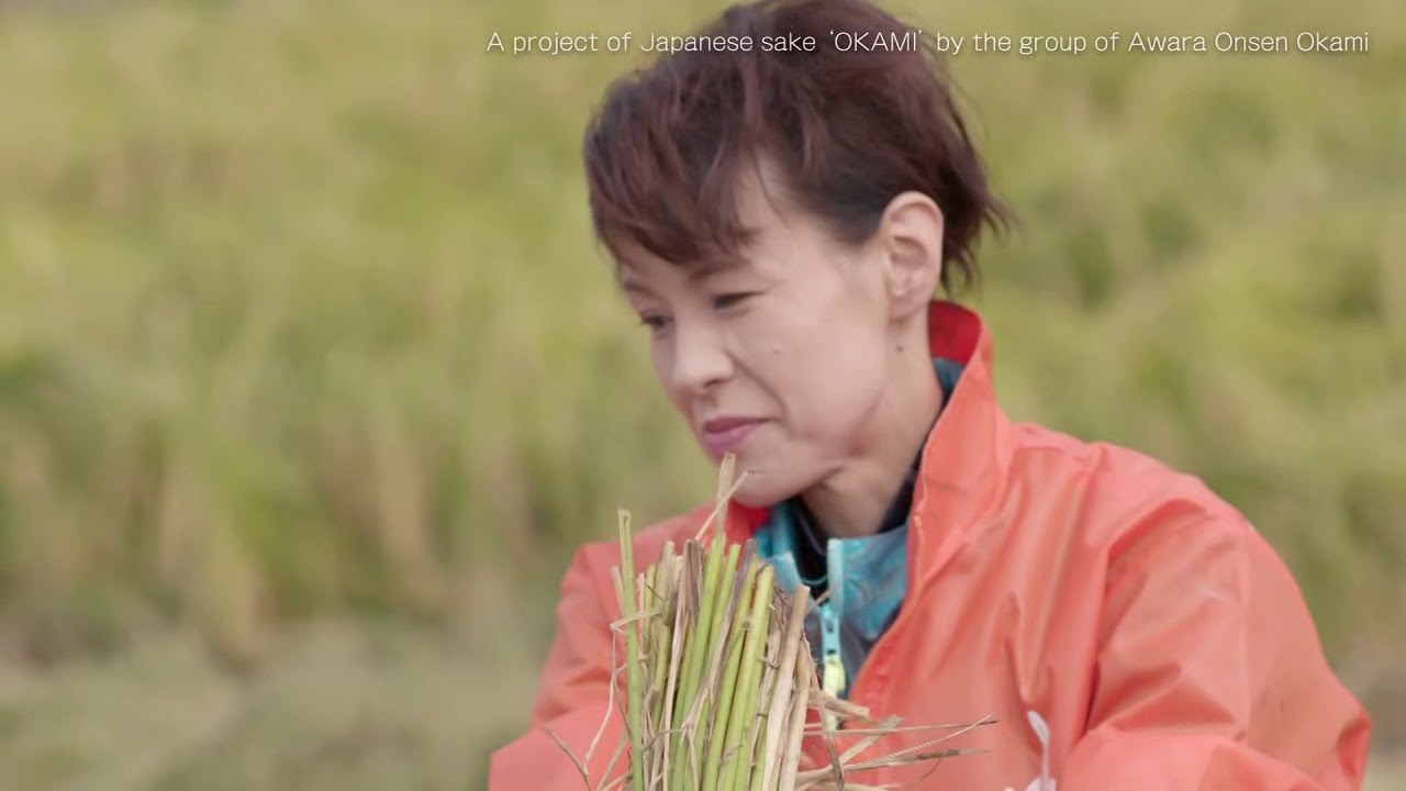 Awara Onsen in Fukui Japanese sake "OKAMI" English ver