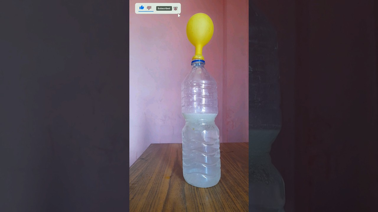 ENO + Water And Balloon Experiment | Amazing Science Experiment | Balloon 