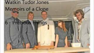 6 - Precious Things - Watkin Tudor Jones