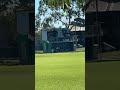 This is my cricket semi final against Mitchell Park #cricket #shorts