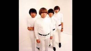 Video thumbnail of "The Standells - All Fall Down"