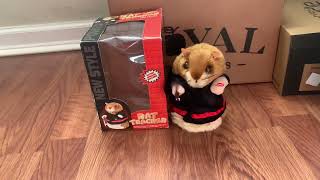 Mei Yie Toys Rat Teacher (Gemmy Kung Fu Hamster Knockoff)