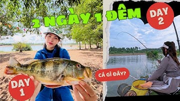 Tập 35 | 2N1Đ Trải nghiệm câu cá Hoàng đế tại lòng hồ Trị An | CÁCH CÂU CÁ HOÀNG ĐẾ | VY HAN FISHING