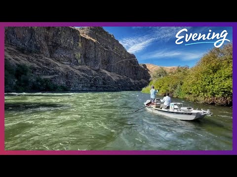 Vídeo: Você pode pescar no rio yakima?