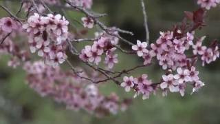 Megan Sexton: Intro Video for The Creative Mind Group Toronto 2016