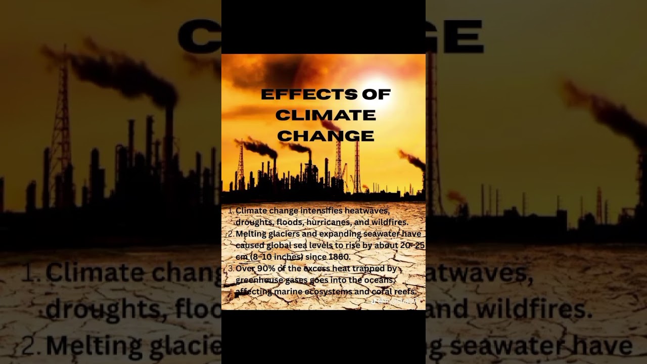 Our planet is burning, why are we still silent? 