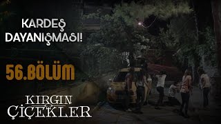 Kırgın Çiçekler 56.Bölüm - Kız Kardeş Dayanışması