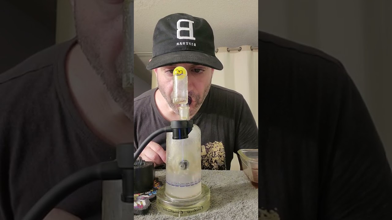 Apples 🍎 & Bananas 🍌 by Cookies 🍪