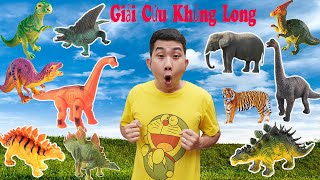 Quân Híp giải cứu Khủng Long Bạo Chúa, Khủng Long 3 Sừng,con Hổ, con Ngựa, con Sư Tử, con Voi