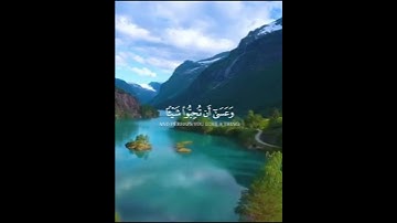 سوره البقره وَعَسَى أَنْ تَكْرَهُوا شَيْئًا وَهُوَ خَيْرٌ لَكُمْ #قرآن #سورة_البقرة