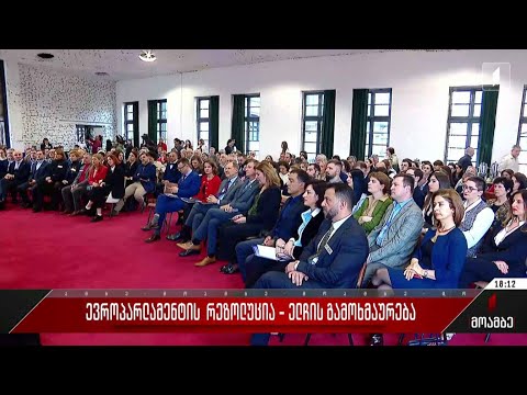 ევროპარლამენტის რეზოლუცია - ელჩის გამოხმაურება