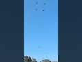 Four DJI FC100s collaborate in transport and joint lifting.