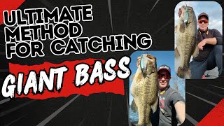 Possibly the best swimbait ever made. My secret method revealed.