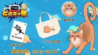 【どこキャ祭】どこキャ祭後半戦に挑むねこ！【ねこなるもの】