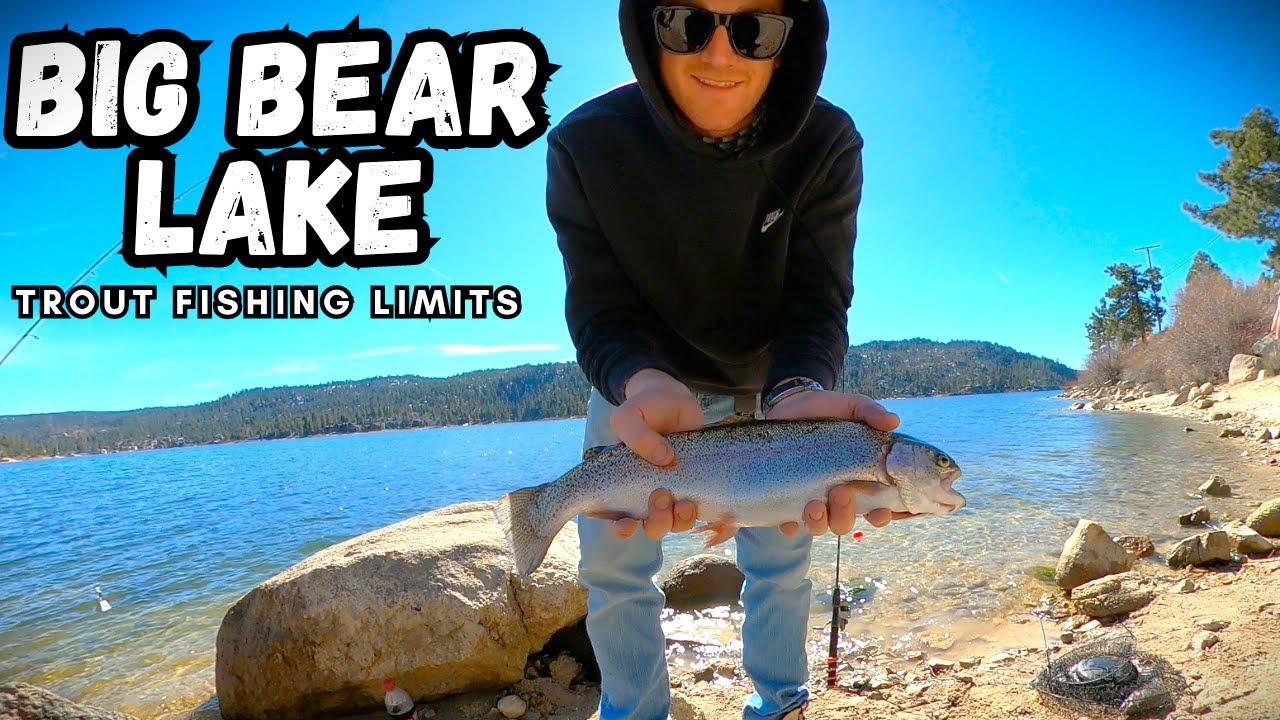 Big Bear Lake Trout Fishing Trout LIMITS! YouTube