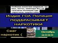 Индия ГОА Полиция Подбрасывает НАРКОТИКИ#Сжег наркотики, Социальний магазин для Индийцев по записи.