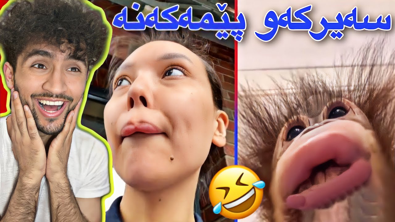 سەیری ڤیدیۆکە بکەو ھەوڵدە پێنەکەنی | مەحاڵە بتوانی! 😂