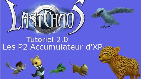 LastChaos Tutoriel 2.0 - Les P2 Accumulateur d