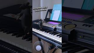 #ratdance #ratabailando #viral_video #parati #humor #piano #clasesgratis #musica