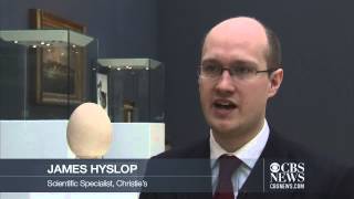 Watch Worlds Largest Egg Up For Auction