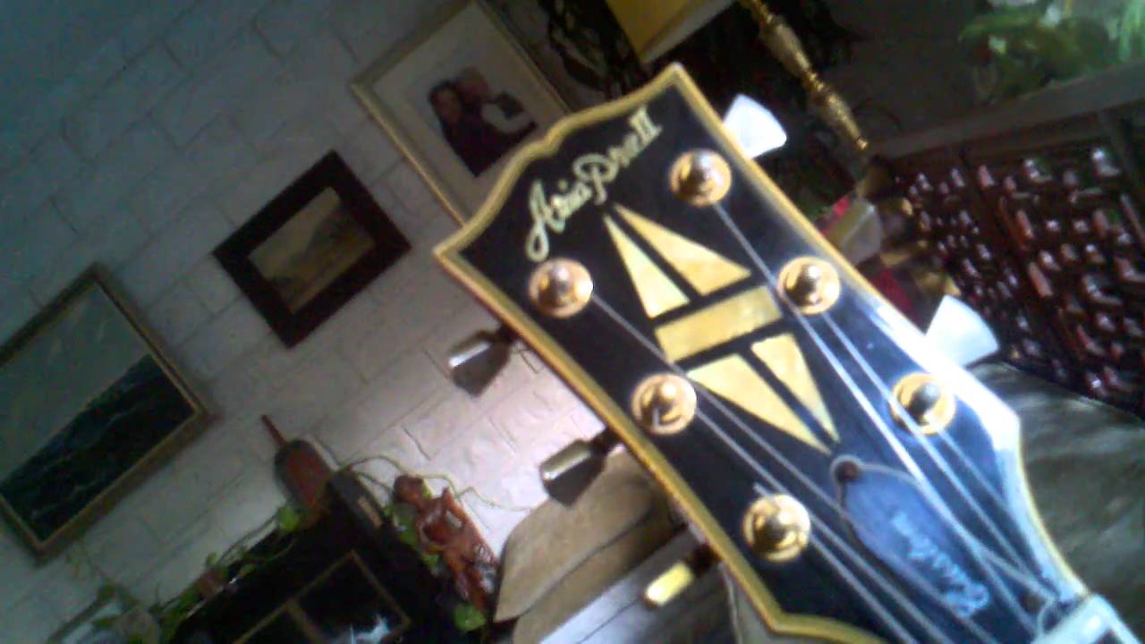 aria pro ii custom