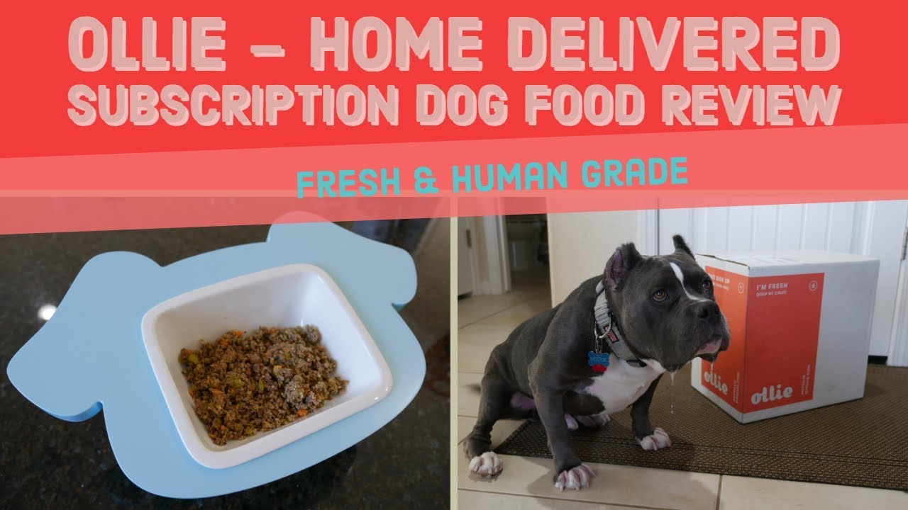 fresh human grade dog food