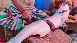 Amazing Live Rawas Fish Cutting In Fish Market | Fish Cutting Skills Bangladesh